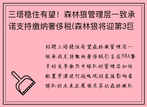 三塔稳住有望！森林狼管理层一致承诺支持缴纳奢侈税(森林狼将迎第3巨头)