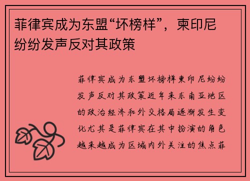 菲律宾成为东盟“坏榜样”，柬印尼纷纷发声反对其政策